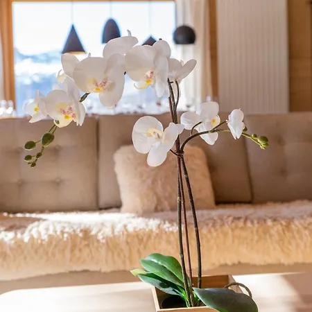 Cozy In * Flumet